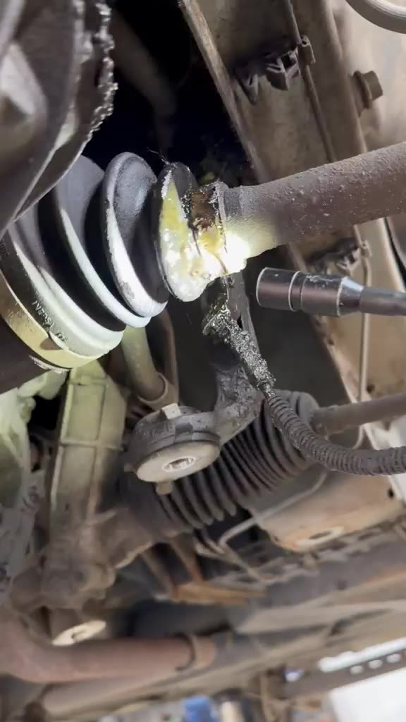 WhatsApp Video 2026 05 23 at 13.36.18